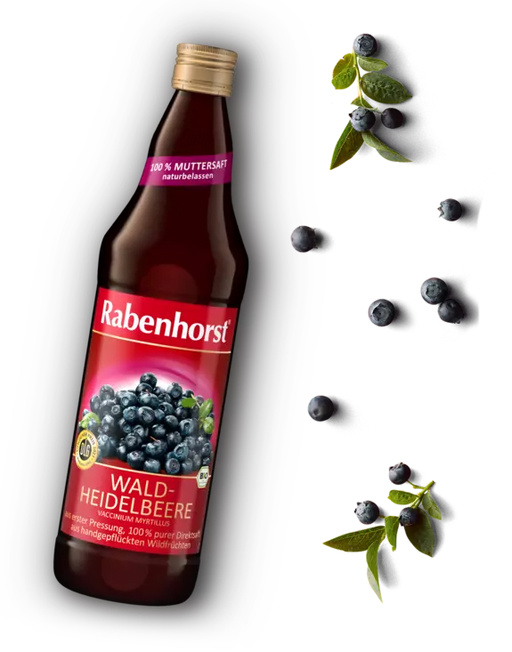 BLUEBERRY JUICE 330ML